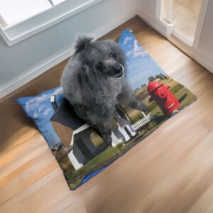 Dog Bark Park Cottonwood Idaho Sleep inside a giant beagle pet bed